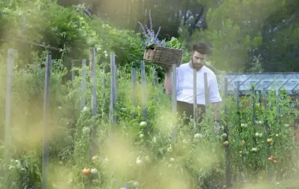 Le Jardin de Berne — kitchen