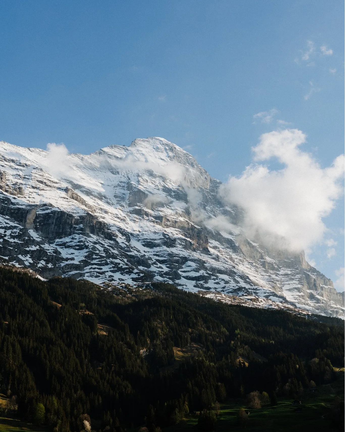 GLACIER — photo 12