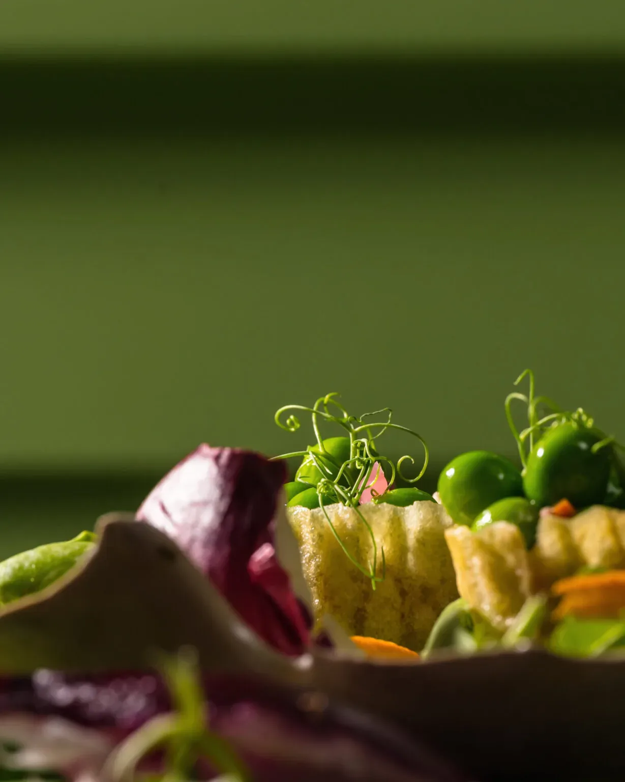 WY. — food
