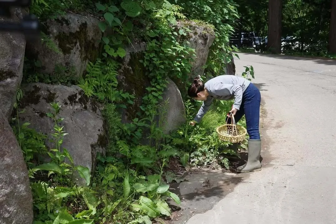 SATOYAMA JUJO - SANABURI - — photo 25