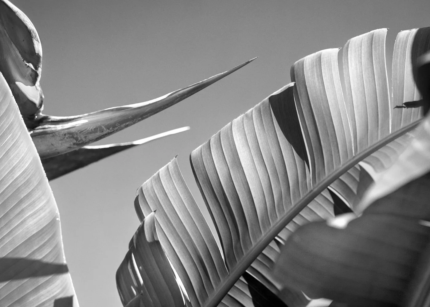 Vila Joya — photo 7