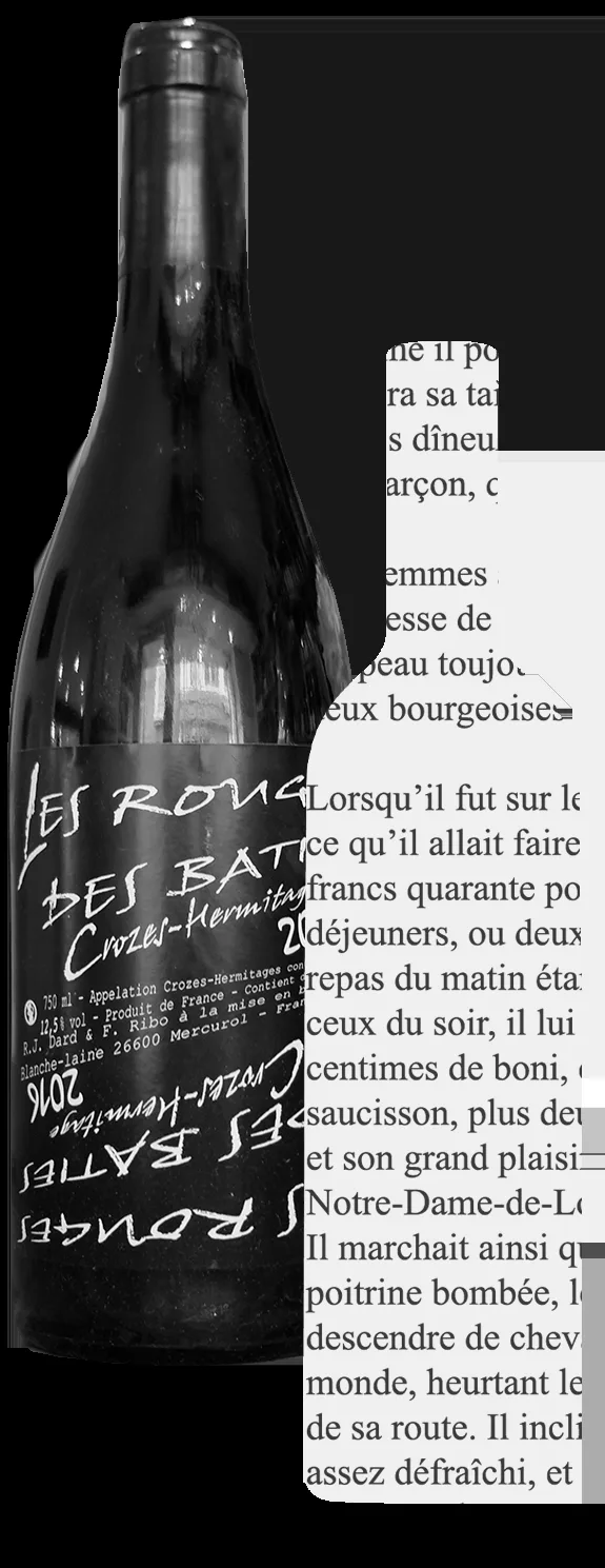 Le Bel Ami — photo 8