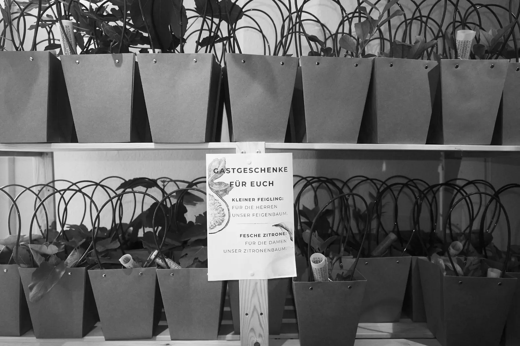Lieperts — photo 15