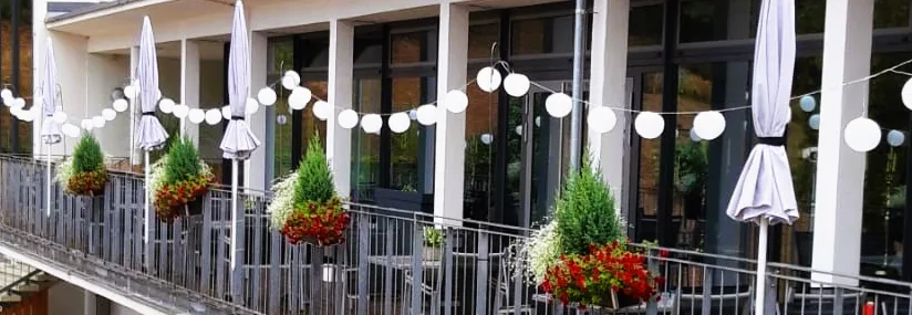 Georgs Restaurant — photo 7