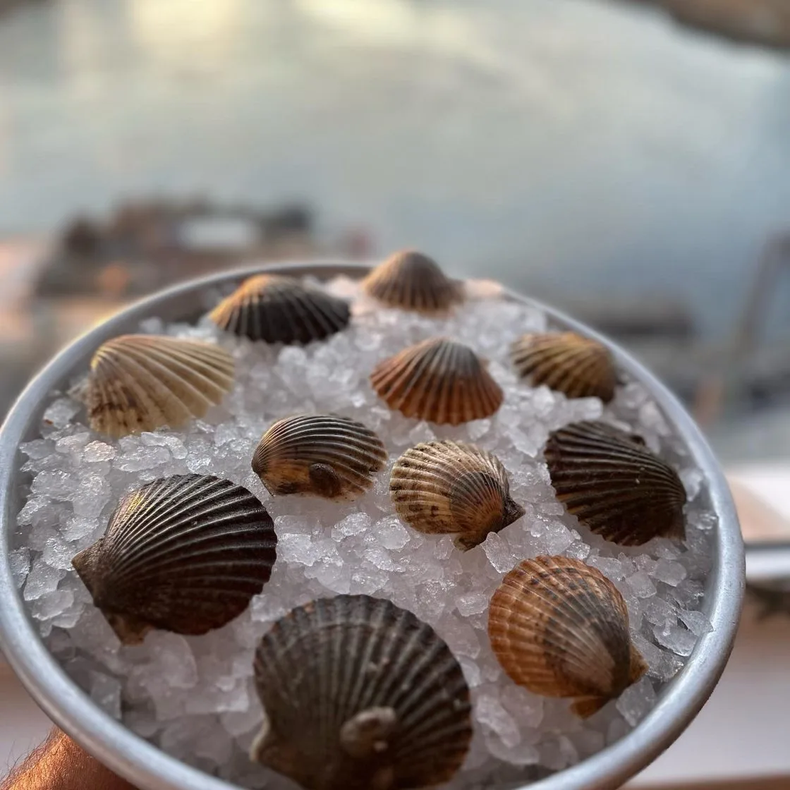 Matunuck Oyster Bar — photo 57