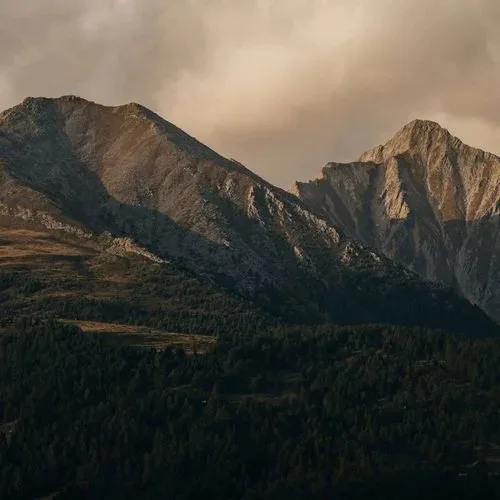 Alpenrose — photo 10