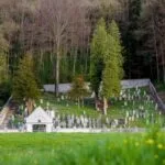 Krone — photo 18