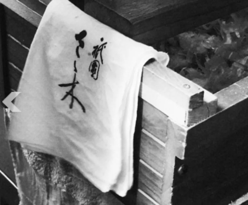 Gion Sasaki — photo 11