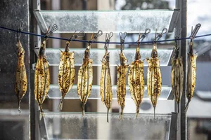 Anchovy — food