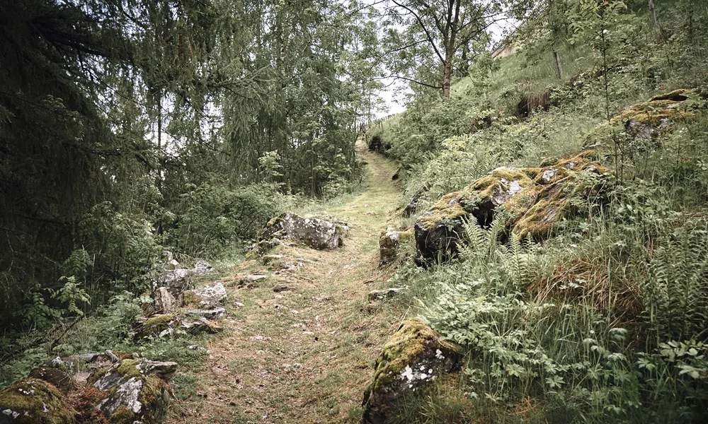 Josef Stube — photo 62