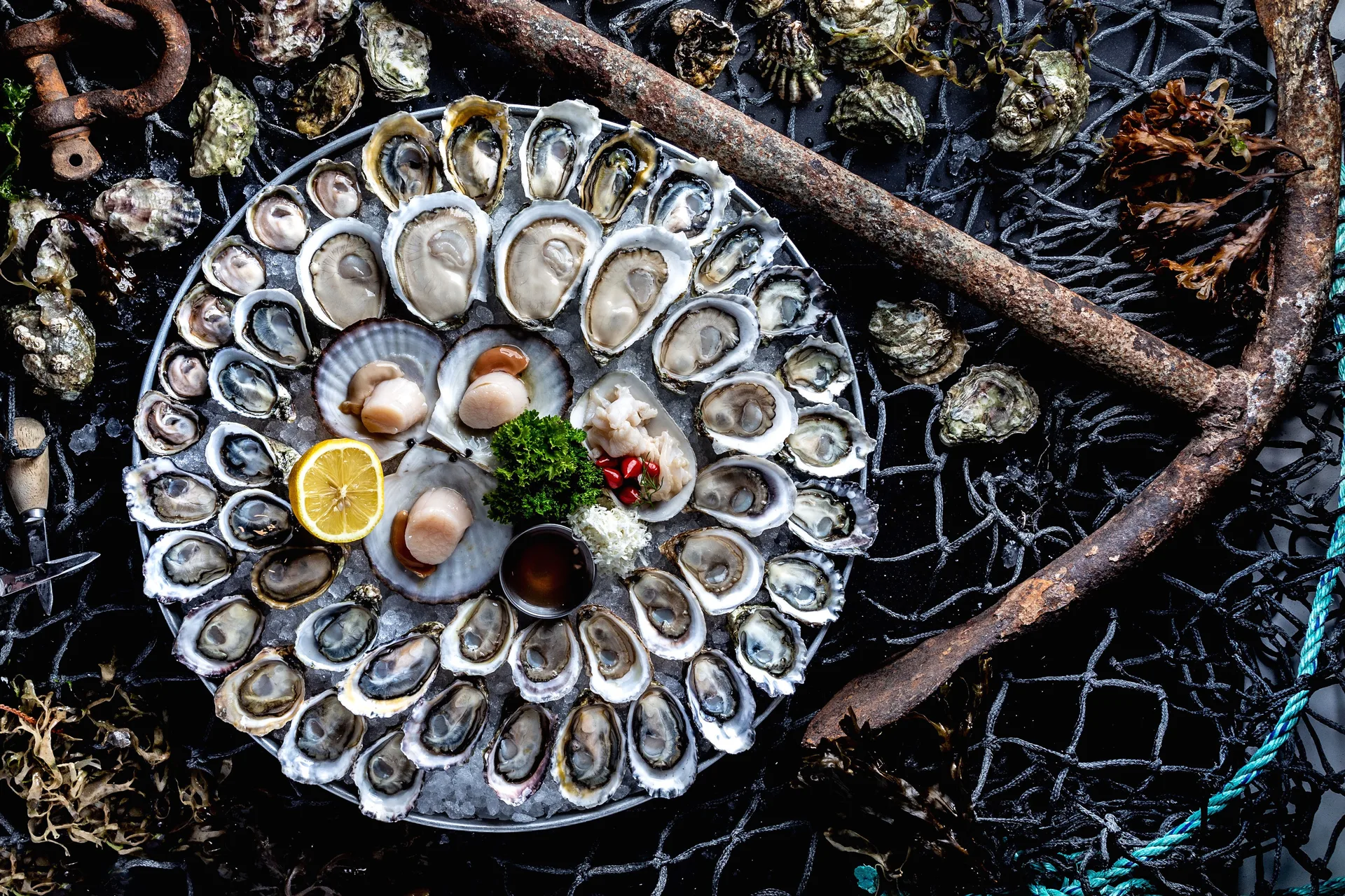 Fanny Bay Oyster Bar — photo 5