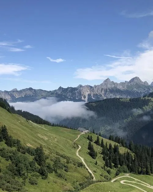 Das Müllers — photo 20
