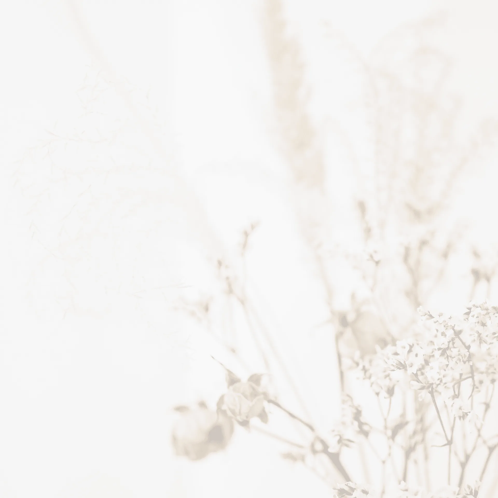 Le Petit Prince de Ligne — photo 7