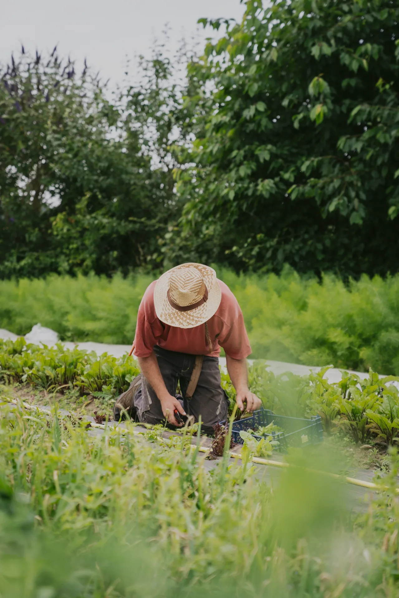 Les Jardins de la Matz — photo 10