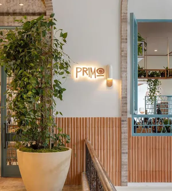 Primo — photo 15
