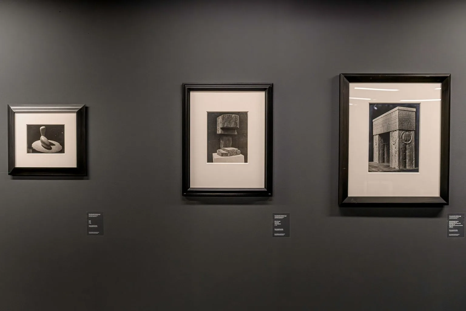 Mare — photo 15