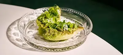 IGNIV — photo 5