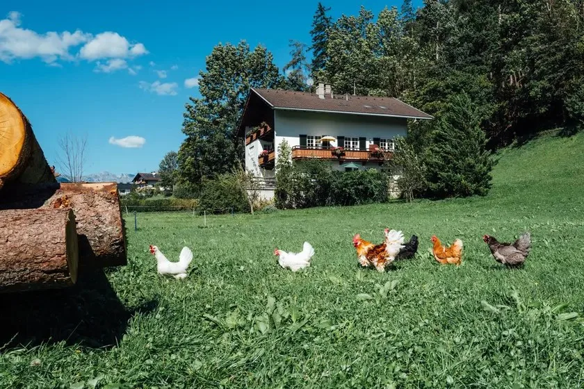 Landgasthof Linde — photo 19