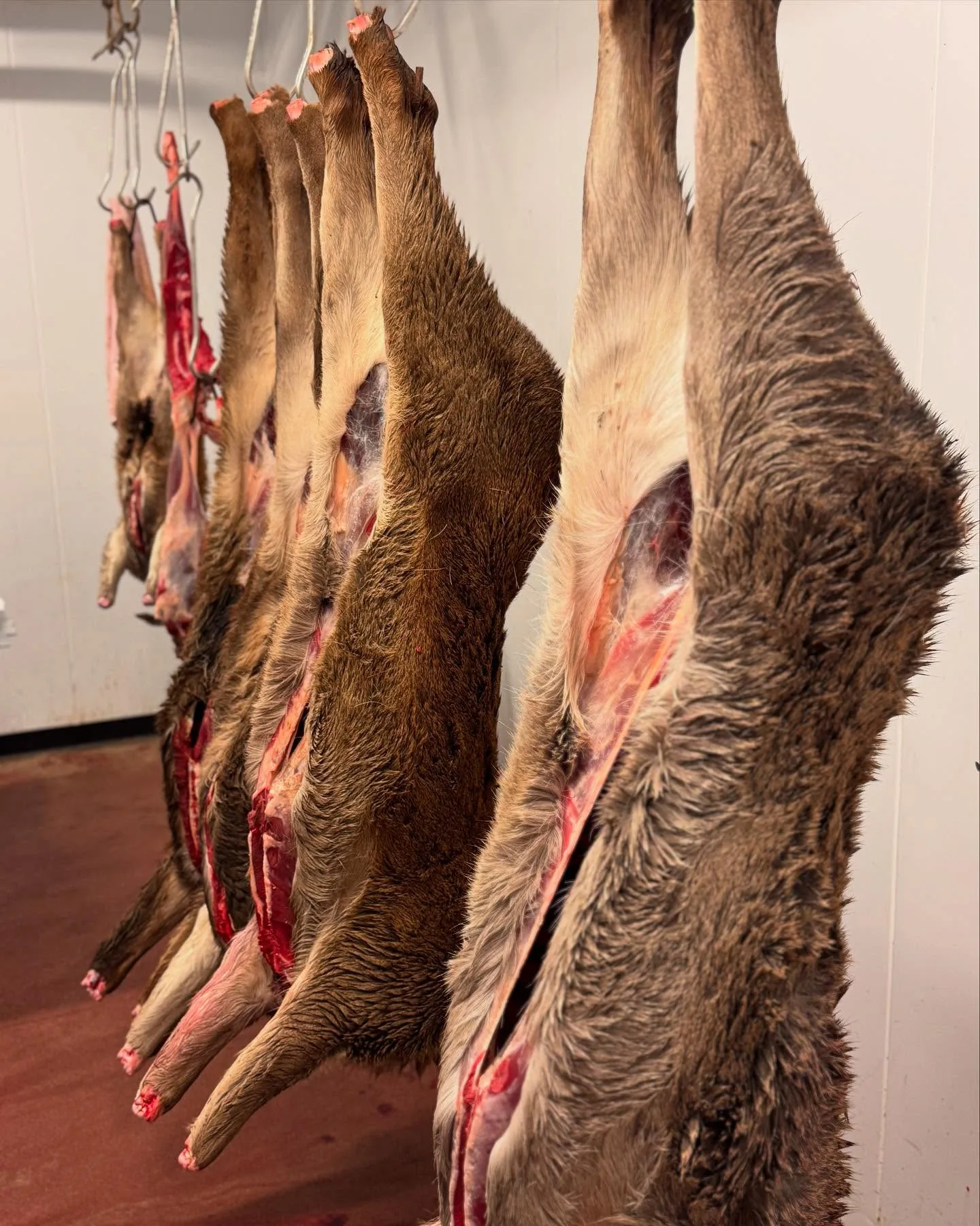 Pig and Butcher — photo 22