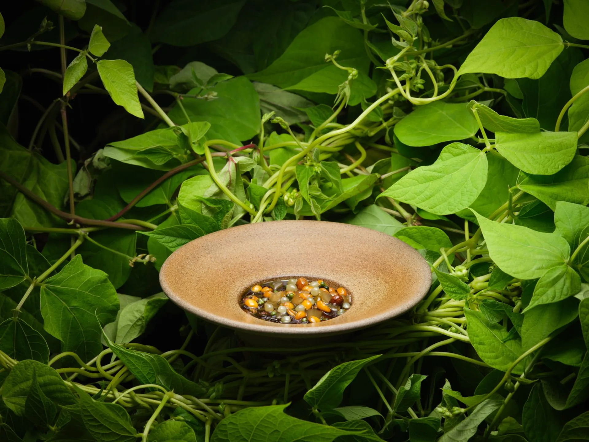 L'Enclume — photo 15