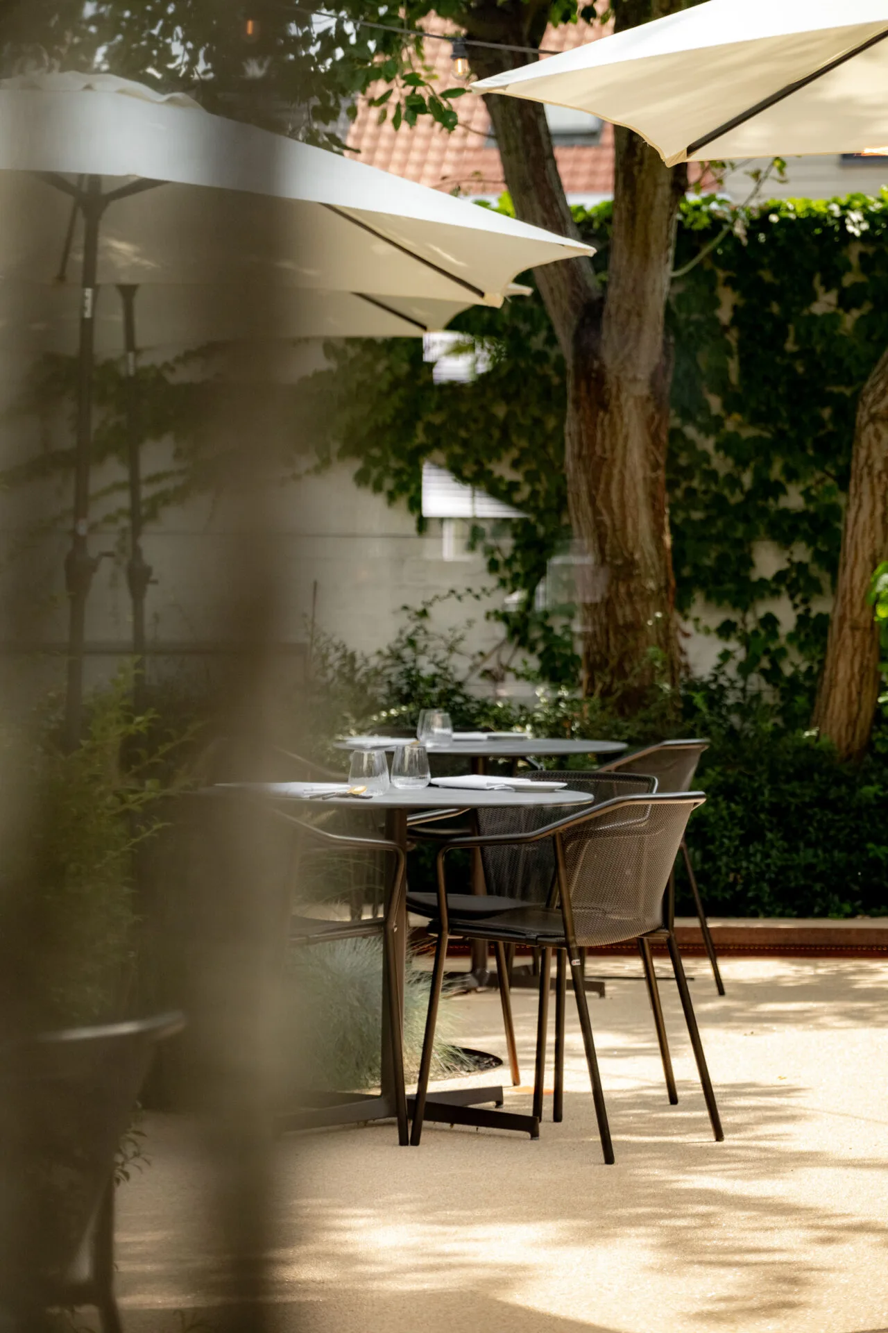 Talloor d'Or — photo 8