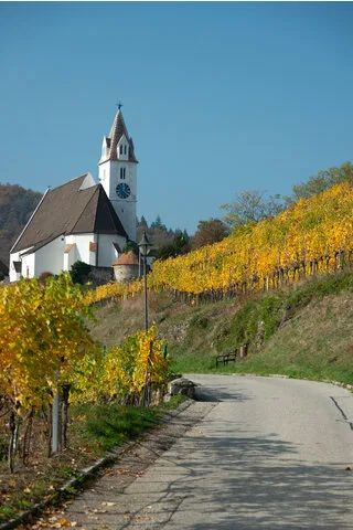Weingut Nigl — photo 11