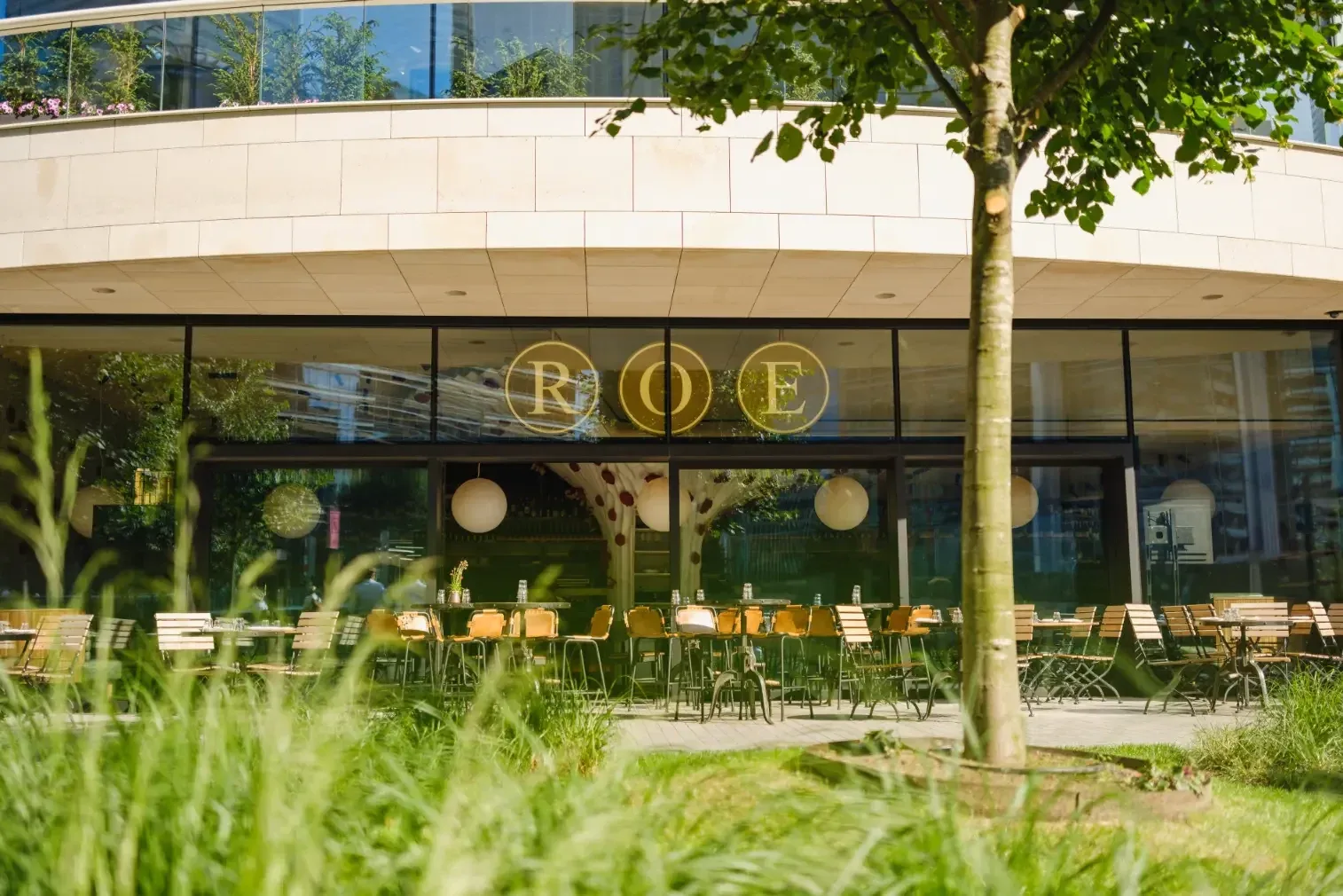 Roe — photo 15