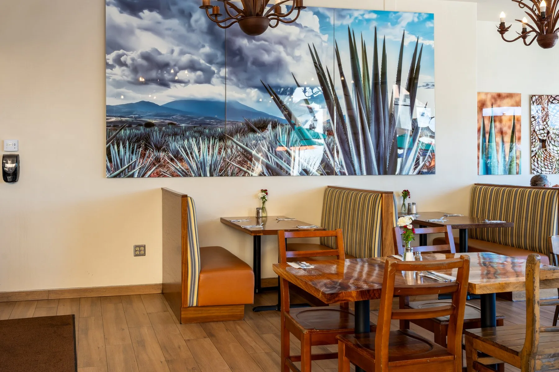 Los Agaves — photo 8