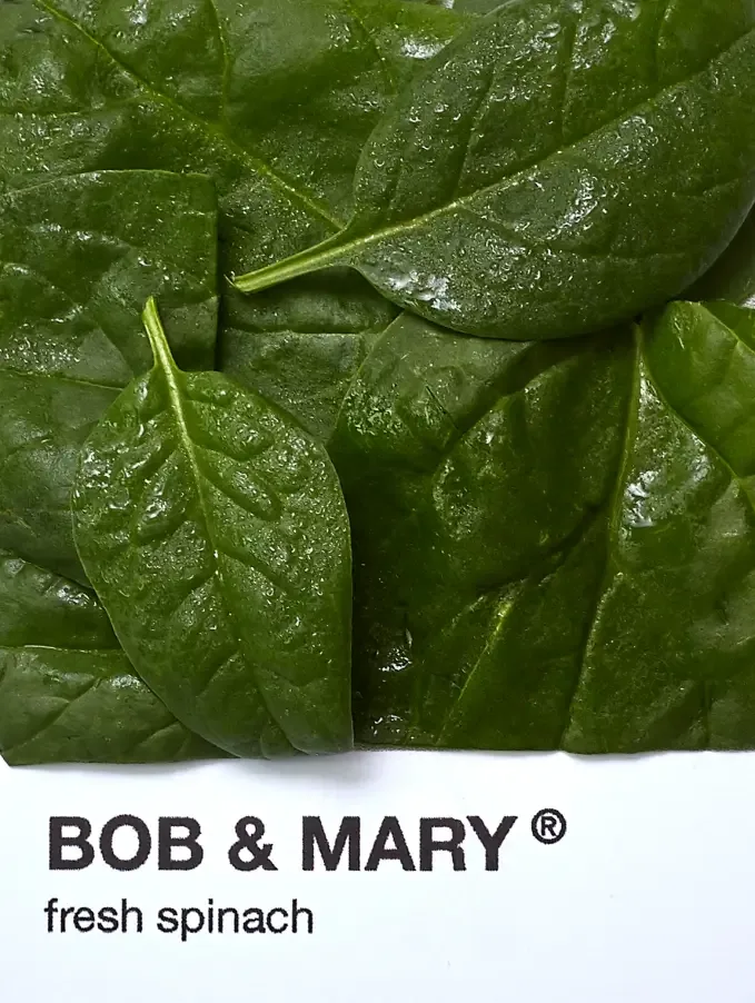 Bob &amp; Mary — photo 28