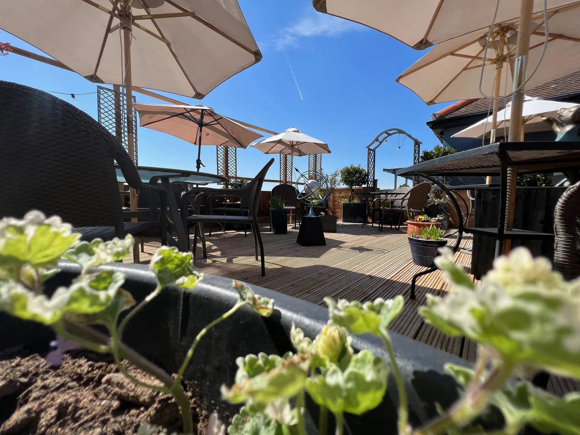 Pig & Whistle Restaurant — photo 85