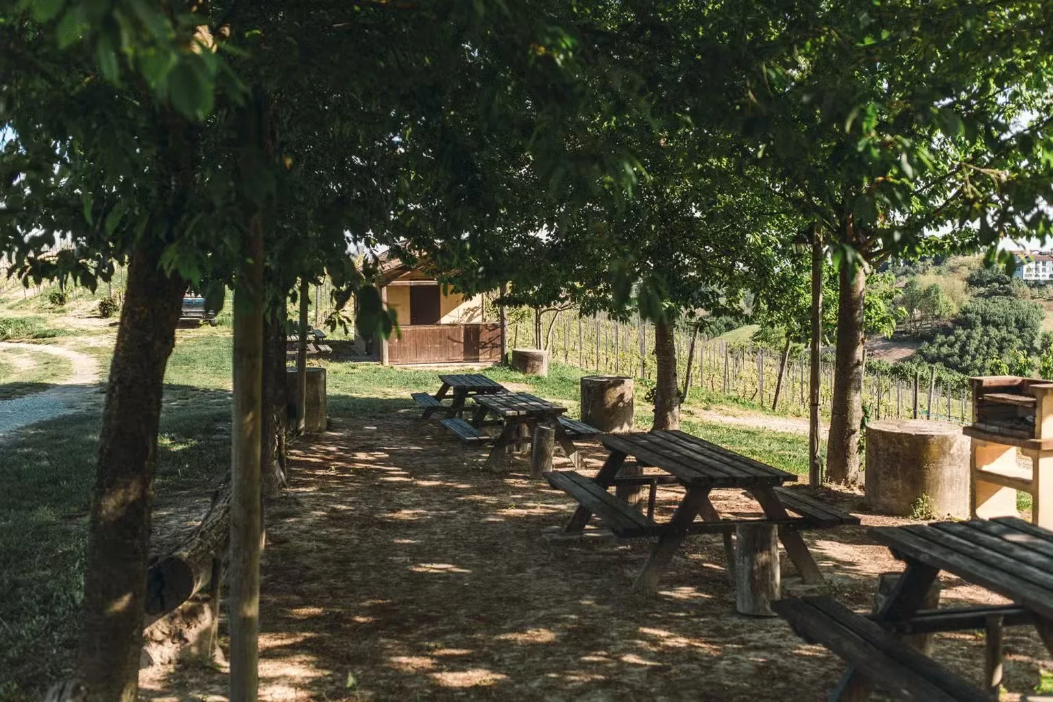 Agriturismo Terra d'Origine dei Durando — photo 55
