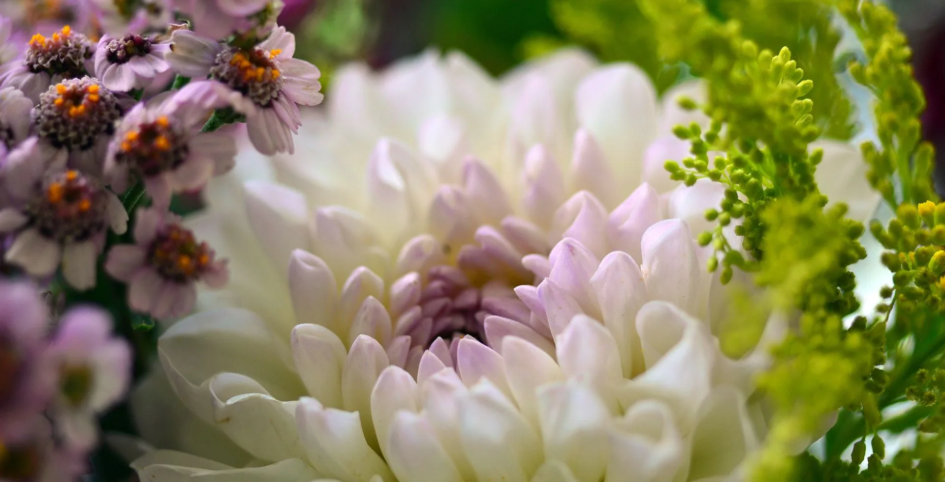 Il Mistero — photo 19