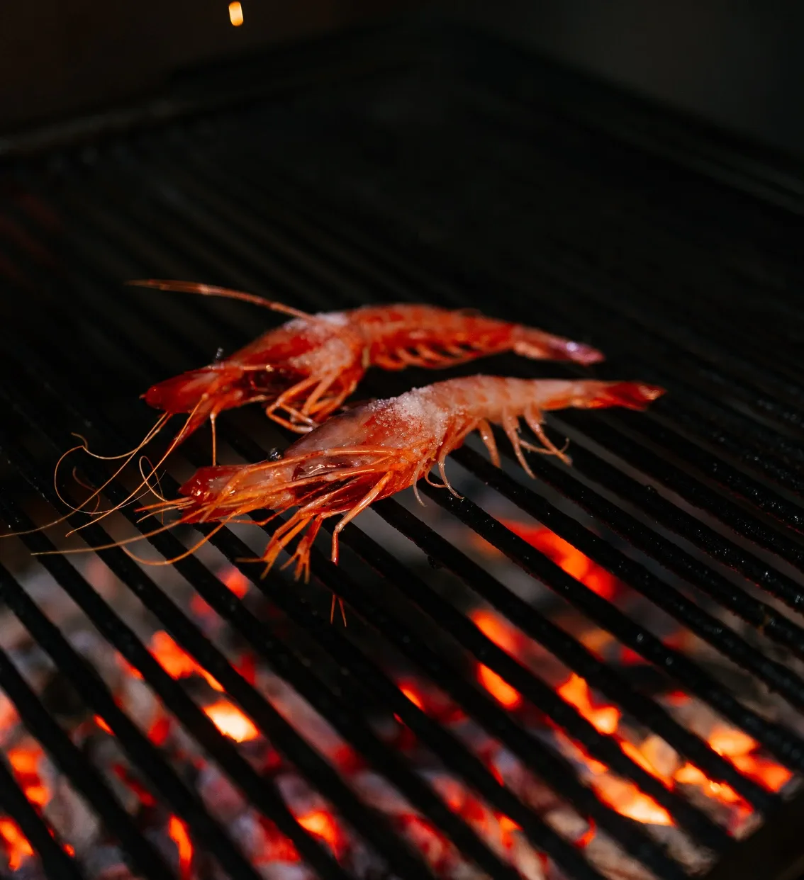 Bistronómika — food