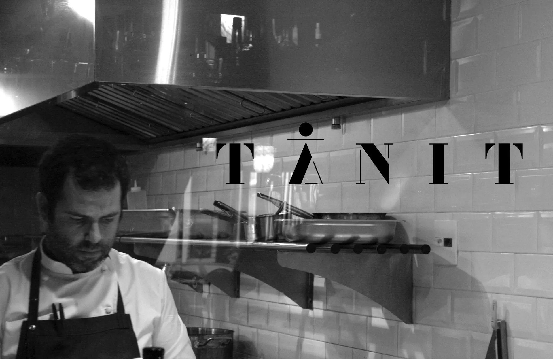 Tanit — photo 8