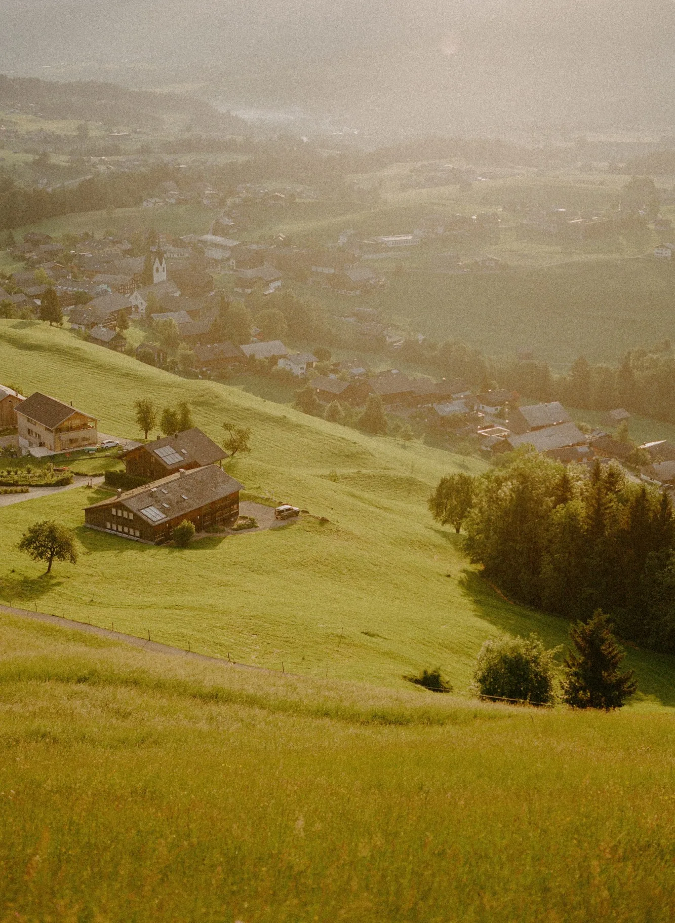 Hirschen — photo 34