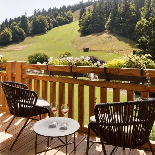 Le M - Domaine de Montagne — photo 10