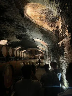 Barolo Grill — photo 5