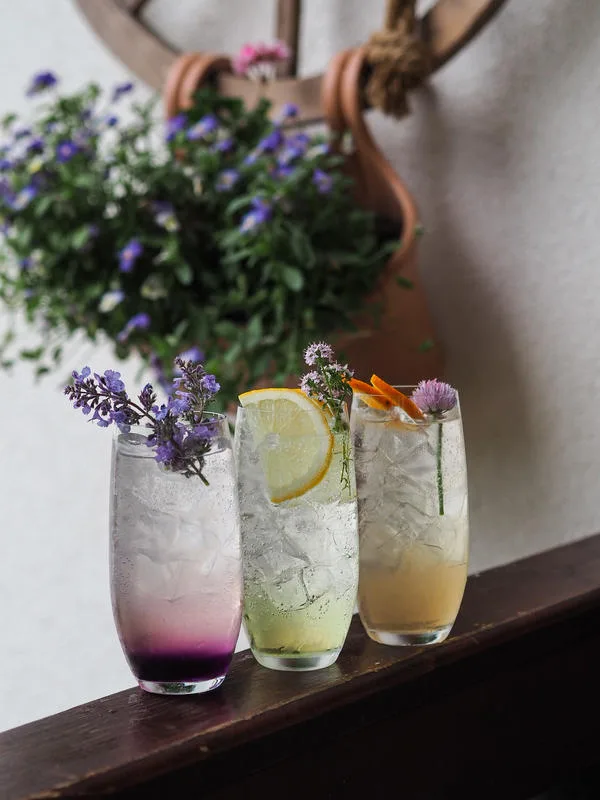 Starý svět, zájezdní hostinec — drink