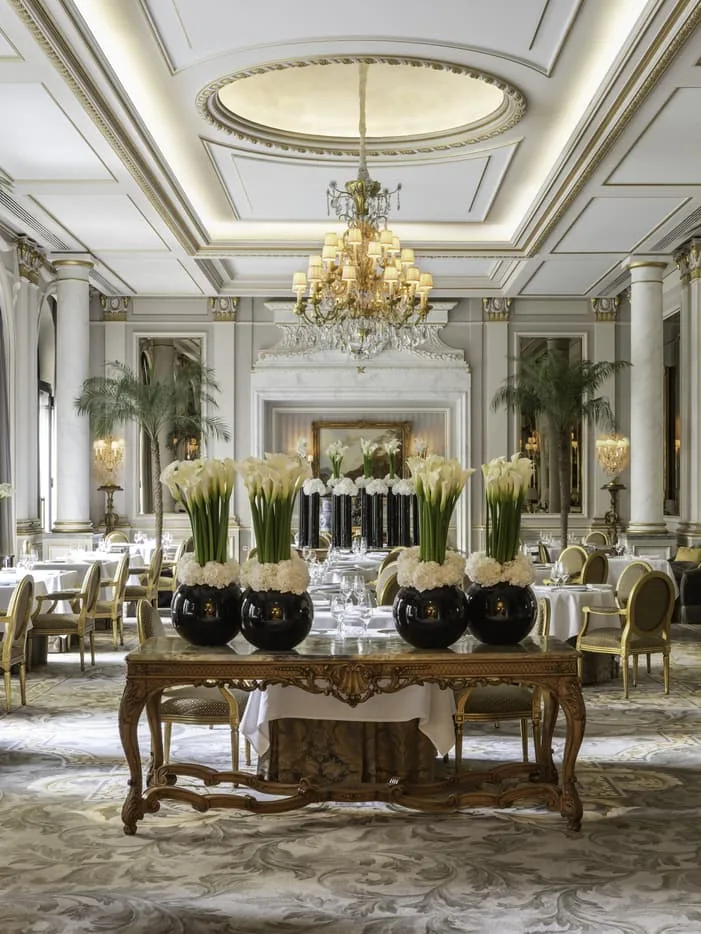 Le Cinq — photo 12
