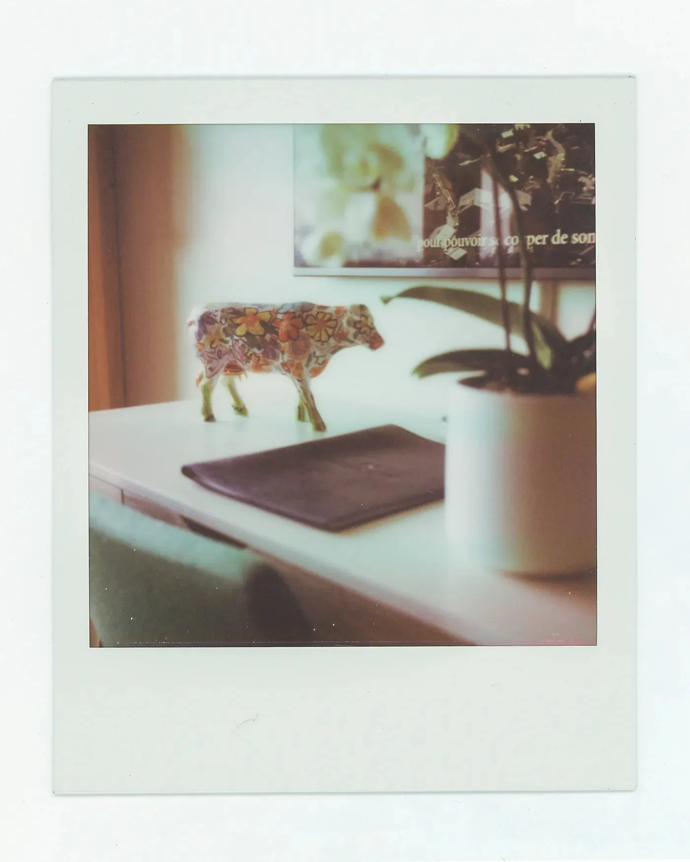 Les Mazots du Clos — photo 18