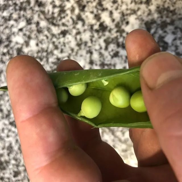 Le Tri-Marrants — photo 4