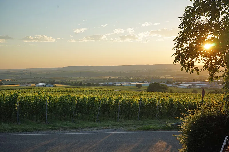 Landgasthof Haigern — photo 19