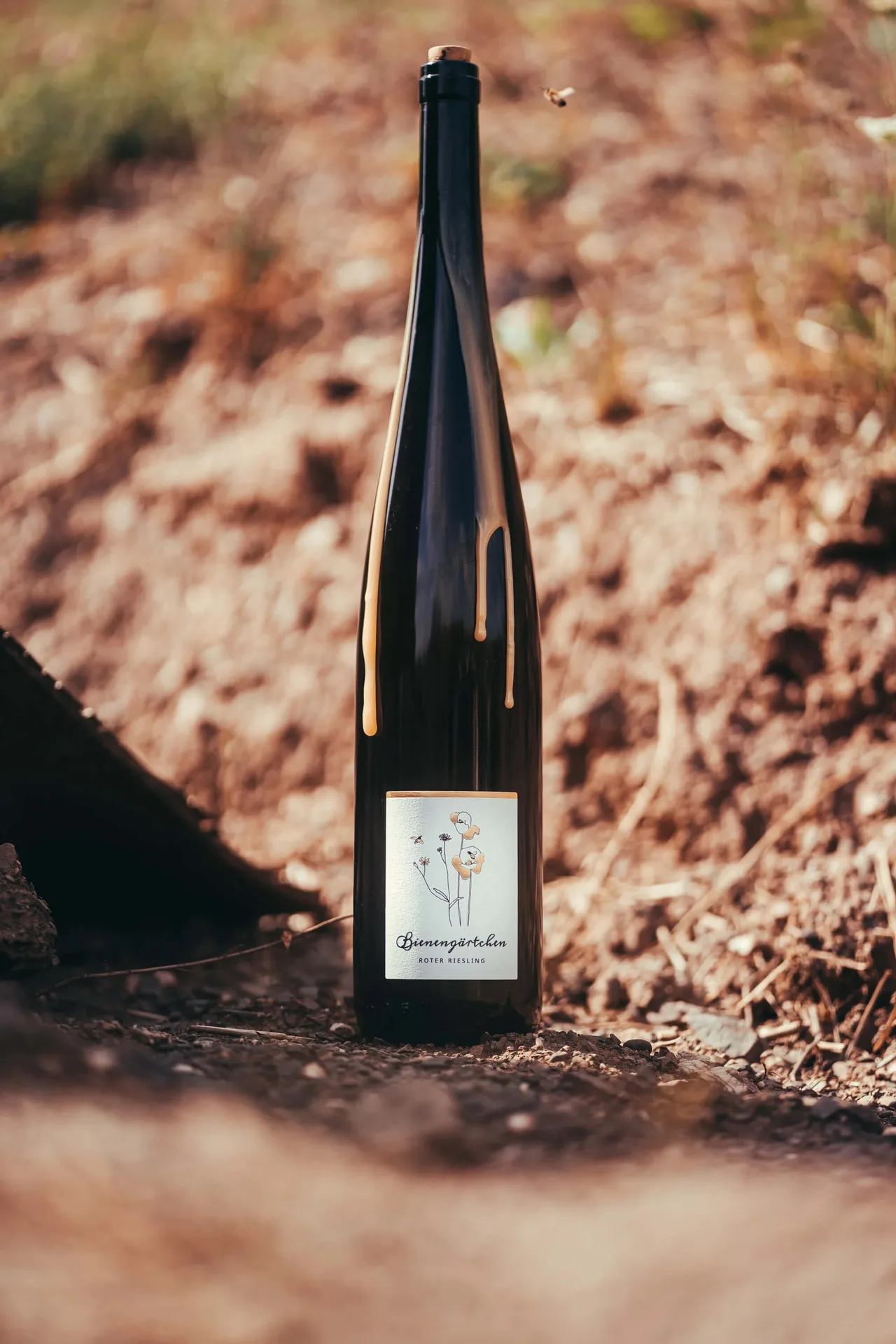 Weingut Weber — photo 42