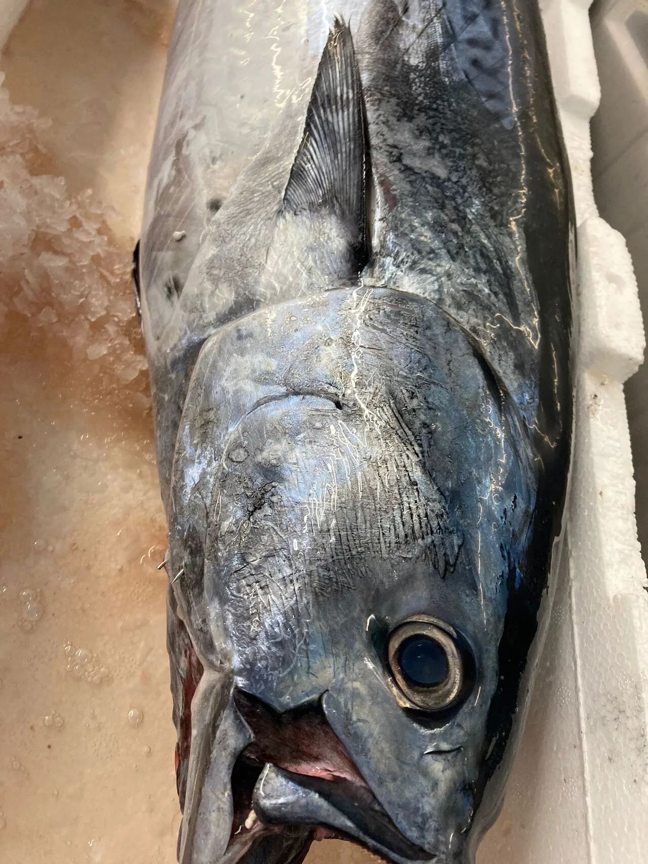 Mamma Rosa — food