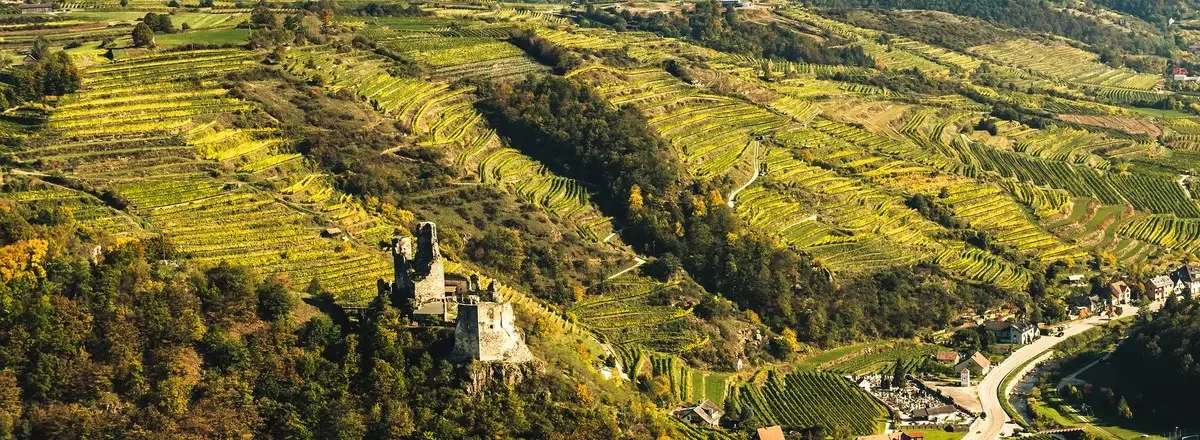 Weingut Nigl — photo 40