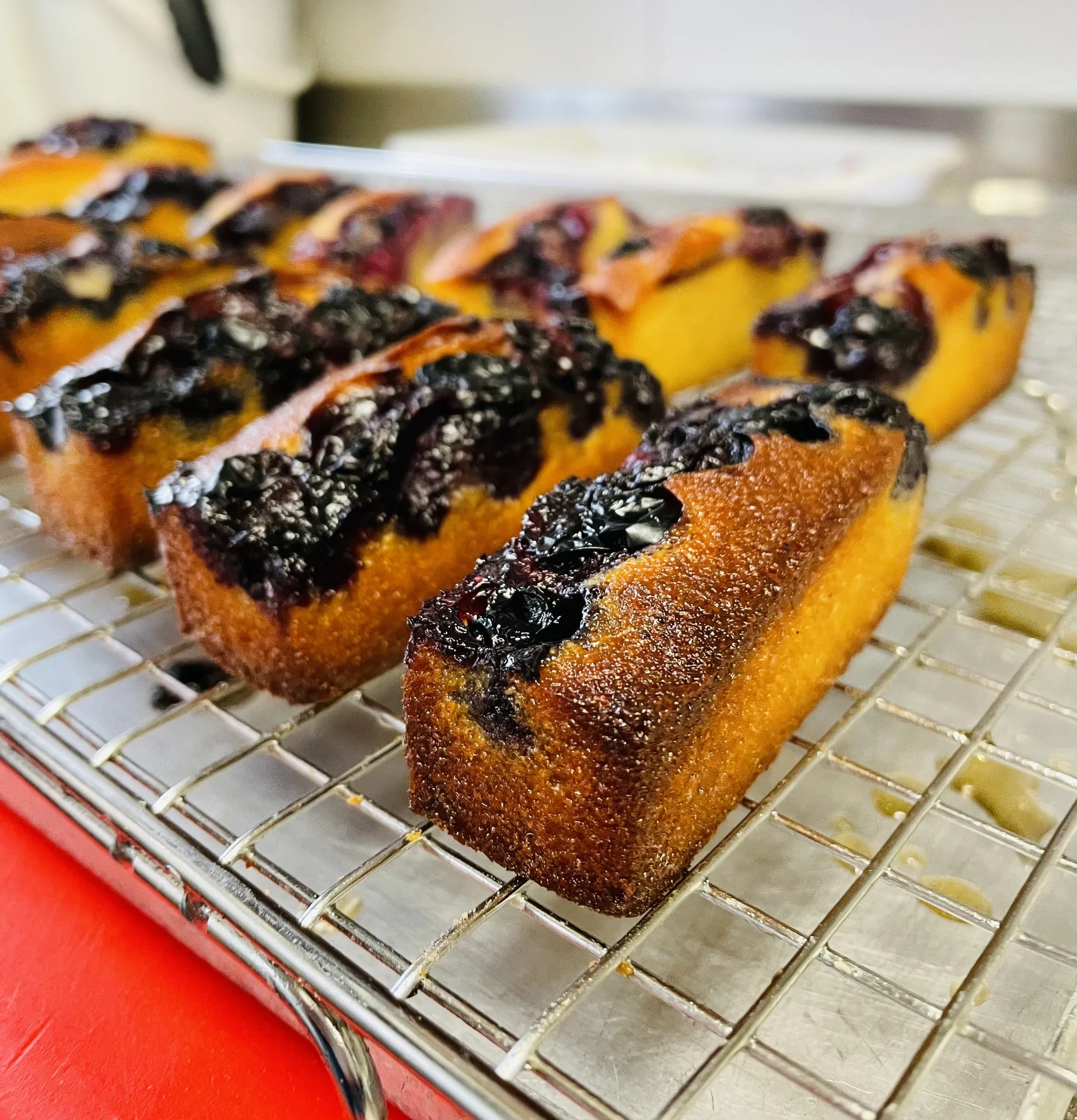 Le Transvaal Comptoir — photo 5
