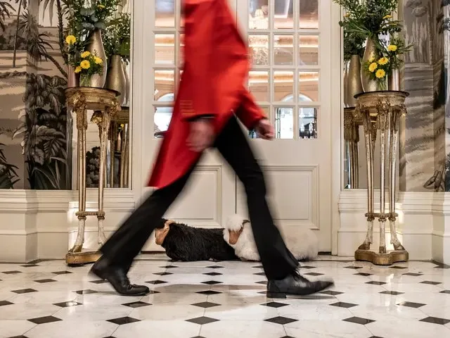 The Goring — photo 48