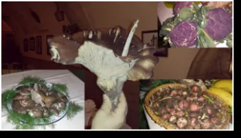 La Tradizione - Cucina Casalinga — food