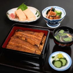 Unagino Toyokawa — food