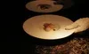 Enigma Yorkville — kitchen
